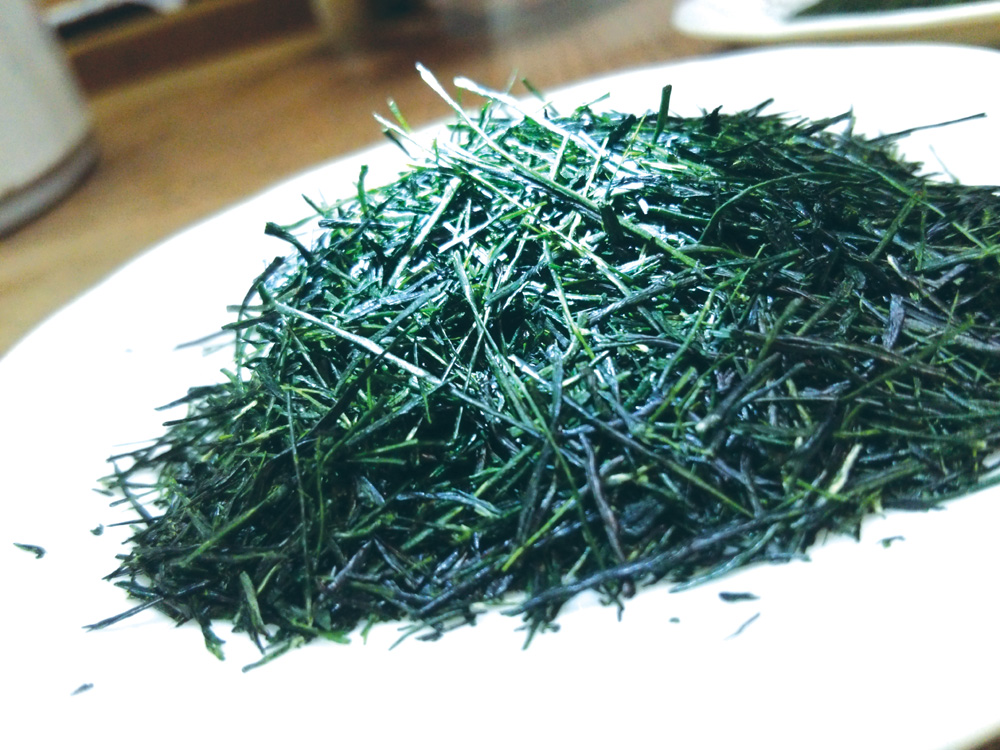 真面目に真直ぐ