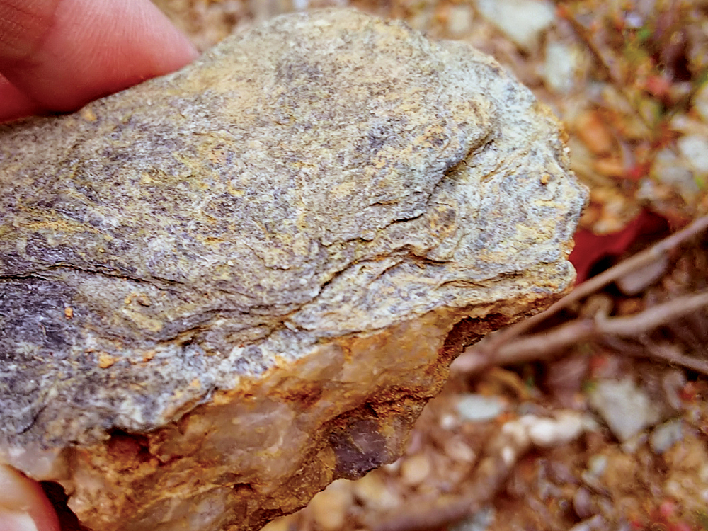 茶にあった内陸性の気候・風土が特徴