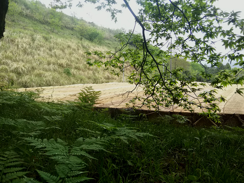 特徴2.国内有数の玉露の生産地