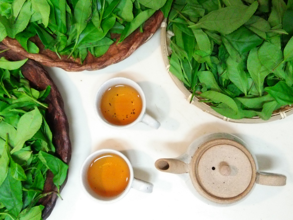 紅茶をつくってみよう