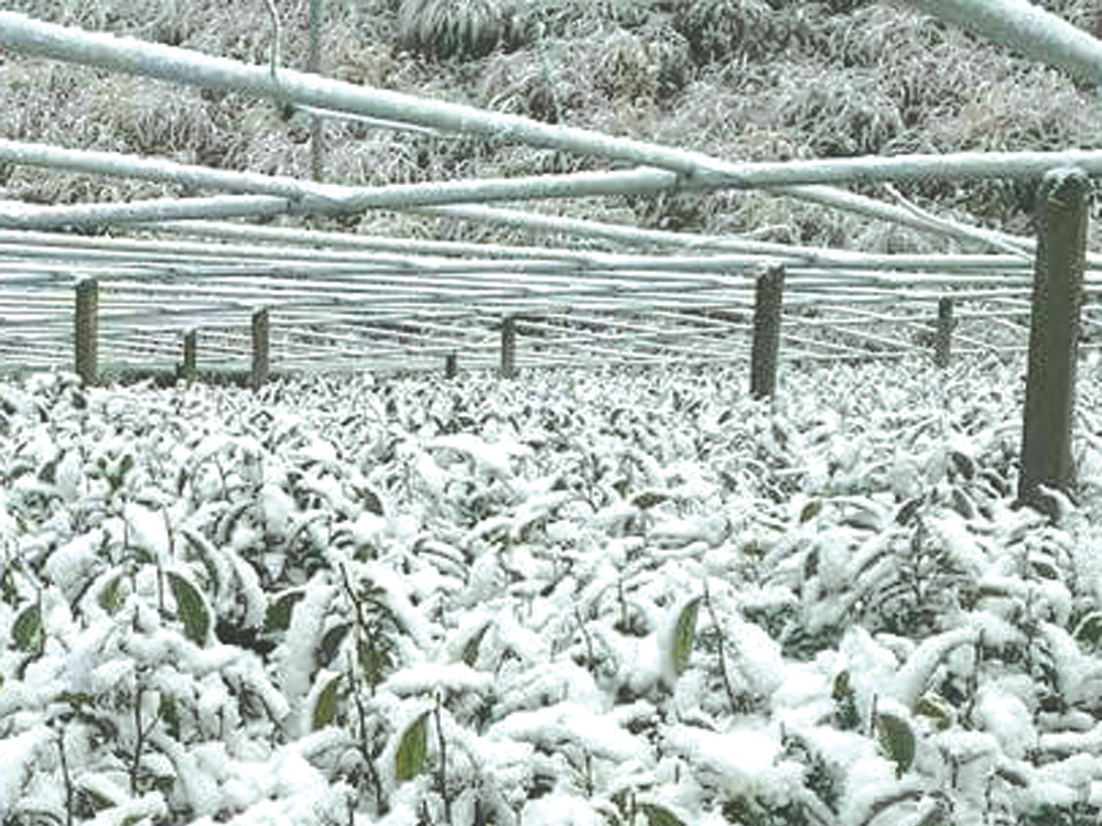冬　１２月～３月